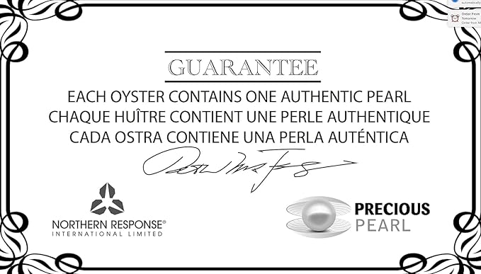 My Inspirations Precious Pearl Pearl in Oyster Kit, Mysterious Pearl Gift Set, DIY Necklace Making Kit, Elegant Pendant with 20" Chain, Great Gift for Any Occasion(Cross)