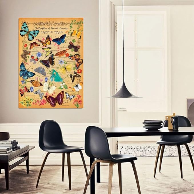 500 Piece Puzzles for Adults Butterflies of North America 20.5 x 15 Inch 500 Piece Jigsaw Puzzles for Kids Adults Puzzles 500 Pieces for Adults Holiday Educational Challenge Toy