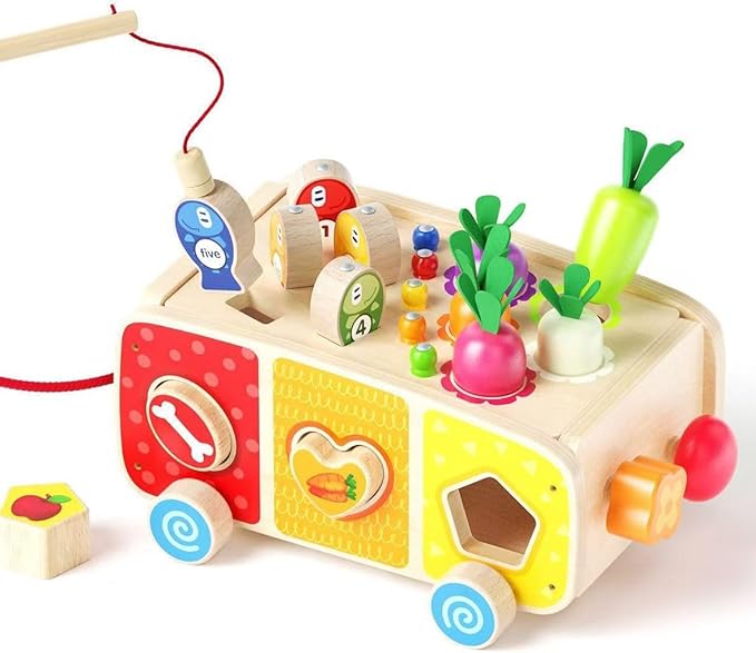 Dailyfunn Montessori Wooden Farm Toys for Babies Toddlers Boys Girls 1-3 Years Old 1st First Birthday Gifts| Fine Motor Skills Developmental Fishing Game Carrots Harvest Game Shape Sorter