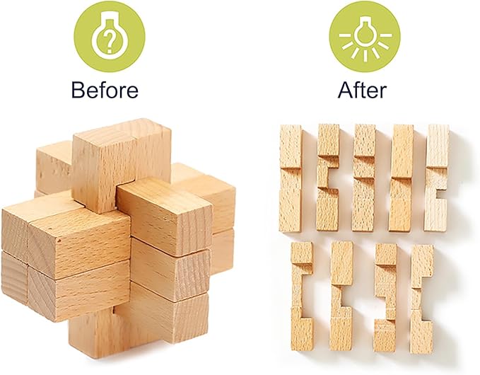 FantasyDay 9pcs Wooden Brain Teaser Puzzles, Interlocking Games for IQ Test, Intellectual 3D Assembling Educational Toy Set for Teens and Adults(9 Puzzle Set#D04)