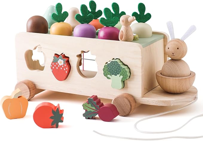 OESSUF Montessori Toys Toddlers Wooden Educational Toys for Baby Boys Girls, Shape Sorting & Matching Fine Motor Skills Toys, Birthday Gifts for Kids