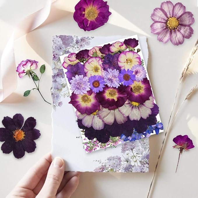 Large Purple Dried Pressed Flower for Crafts, Large Big Real Nature Dry Pressed Flowers for Resin Molds Candle Making Phone Cases DIY Art Crafts Jewelry Making