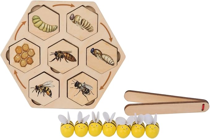 Montessori Wooden Bee Life Cycle Puzzle for Kids 3-6 | Learn Hive Roles: Queen,Worker,Drone | Realistic Insect Puzzle with Tray & Clamp | Preschool Fine Motor Science Toy for Classroom & Homeschool