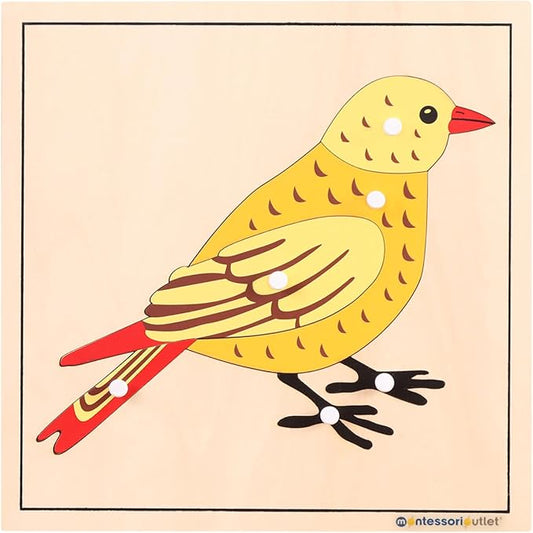 Montessori Outlet Bird Puzzle for 3-6 Years Montessori Education at School and Home
