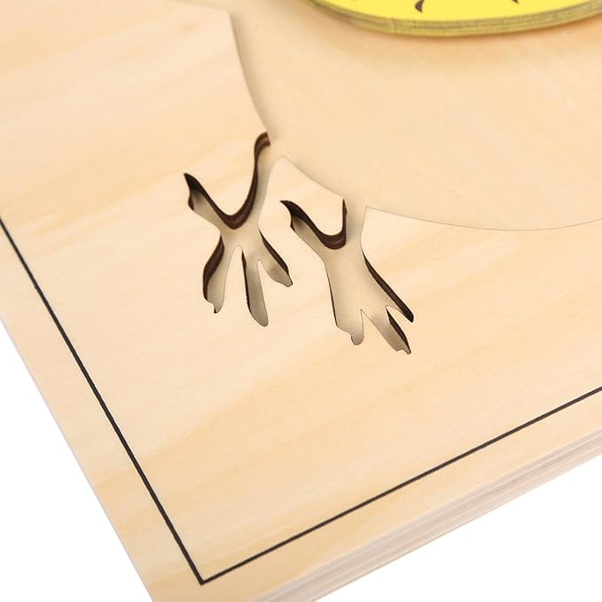 MEYOR Montessori Bird Puzzle for Early Preschool Education Learning Toy