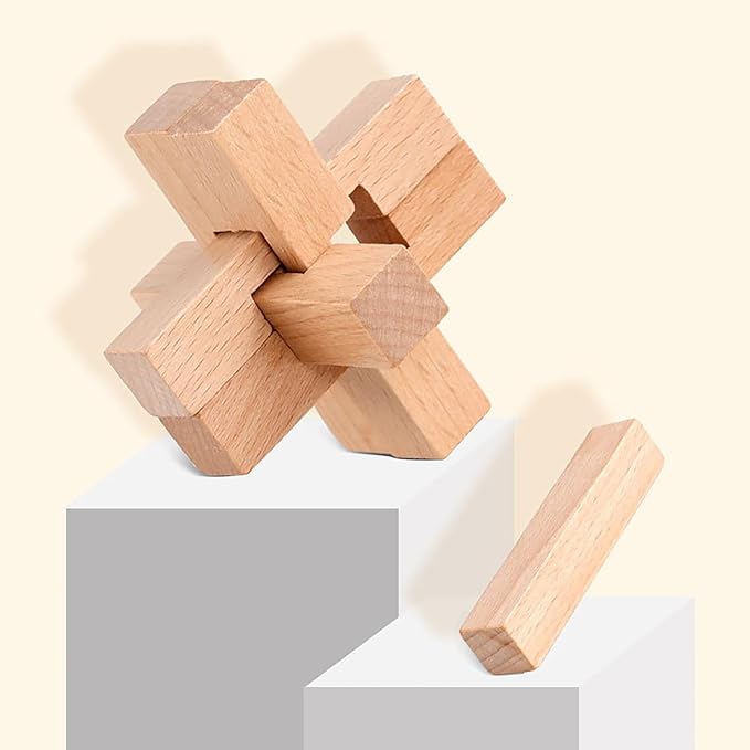 FantasyDay 9pcs Wooden Brain Teaser Puzzles, Interlocking Games for IQ Test, Intellectual 3D Assembling Educational Toy Set for Teens and Adults (9 Puzzle Set#A01)