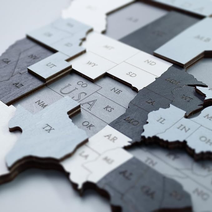 EWA Eco-Wood-Art - Wooden Puzzles for Interior and Design - World map - Souvenir, Gift, Kitchen, Home Decor, Interior (Smoky Dreams 114 Pieces)