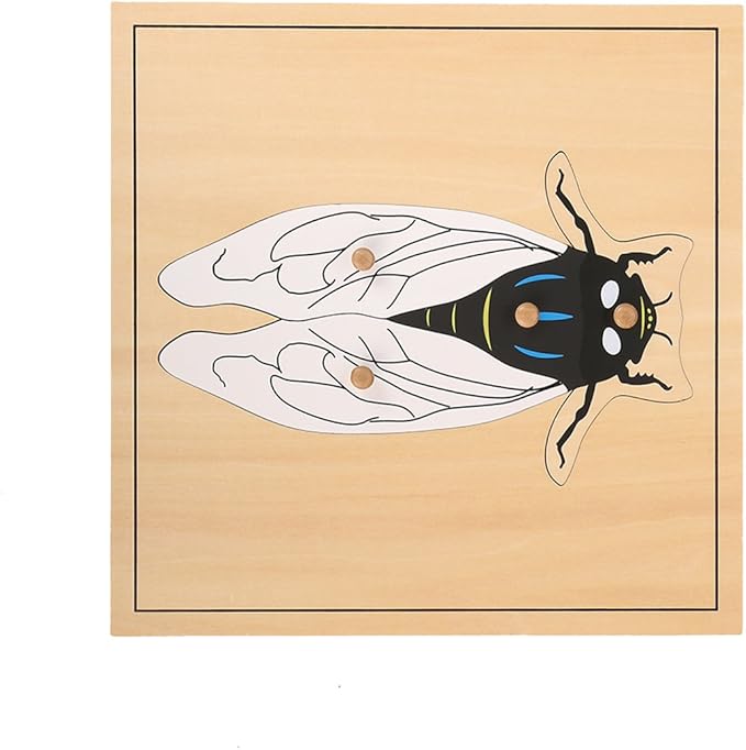 MEYOR Montessori Fly Puzzle for Preschool Learning Toy Education Learning Toy