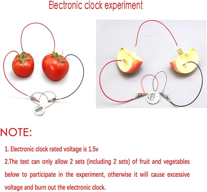 3 Sets Fruit Battery Science Experiment Kit for Home Teaching Toy, Orange Lemon Potato Battery Physics Teaching Experiment with Electronic Clock Educational Toy for Students