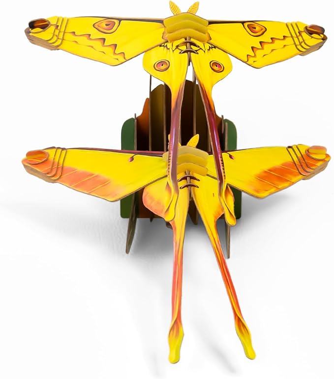 STEM Educational Toy Paper Puzzle for Children, Hands-On Learning Experience Inquisitive Minds, Preschool Toys for Birthday, Christmas, Holidays(Actias Moth, Ages 7 and Up)…
