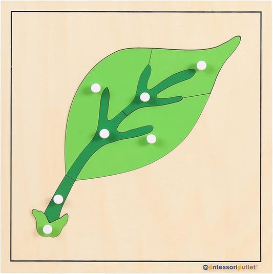 MONTESSORI OUTLET Nature Materials Leaf Puzzle Early Preschool Learning Toys for 3-12 Year Old Kids and Toddler