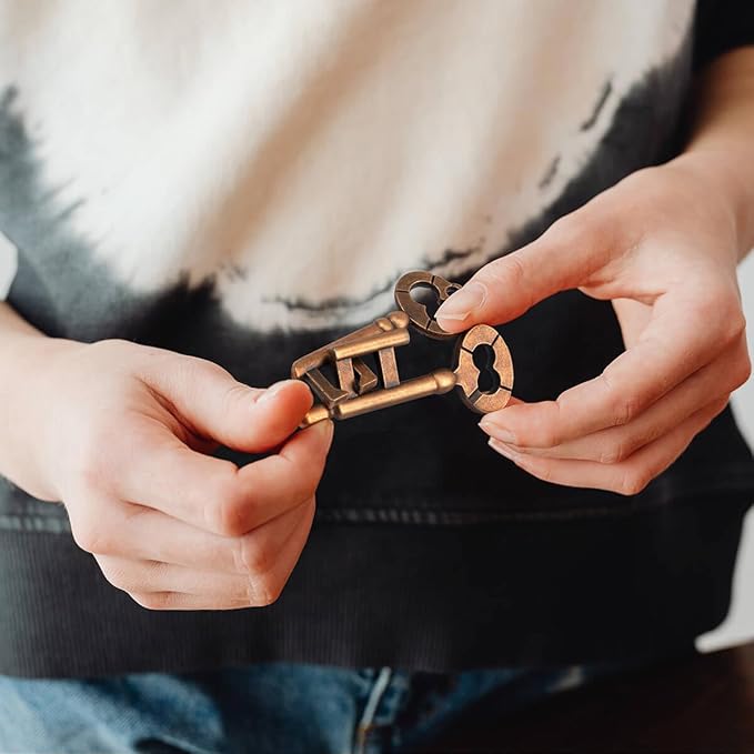 Fun Metal Brain Teaser Puzzle Games - 4 Pcs Adults Mind Travel 3D Toys -Teens IQ Insight Challenge - Logic Educational Gift（with Storage Case and Instructions）