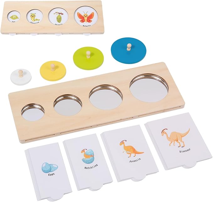 Montessori Wooden Circle Puzzle with Knob,Montessori Toys for 12-18 Months-Mirror Peekaboo Peg Board with 32 Cards for 8 Life Cycles,First Baby Puzzle for Toddlers 1-3,Wooden Preschool Learning Toys