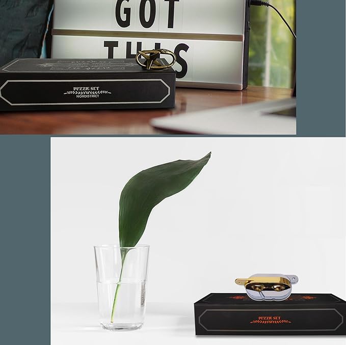 6PCS Metal Puzzle Box & 3D Brain Teasers for Adults/Teens, Challenging IQ Logic Games with Disentanglement Locks, Classroom Mind Challenge Supplies (Metal Puzzles)