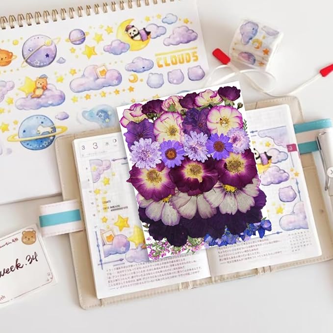 Large Purple Dried Pressed Flower for Crafts, Large Big Real Nature Dry Pressed Flowers for Resin Molds Candle Making Phone Cases DIY Art Crafts Jewelry Making