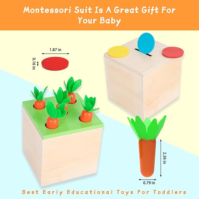 Adena Montessori 3 for 1 Wooden Montessori Play Kit Baby Toys,includes Matchstick Color Drop Game,Carrot Harvest Game and Coin Box,Learning Toy for Kid 1,2,3 Year Old,Girl Boy Gift for Baby 6-12 Month