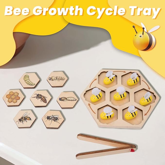 Adena Montessori Wooden Bee Life Cycle Puzzle Toy Set with Tray and Clamp, Animal Life Cycle Educational Activity for 3-6 Year Old Boys & Girls