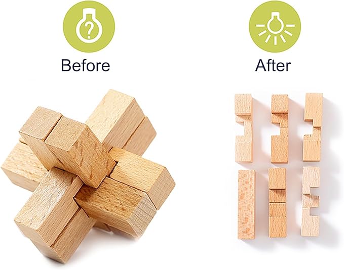 FantasyDay 9pcs Wooden Brain Teaser Puzzles, Interlocking Games for IQ Test, Intellectual 3D Assembling Educational Toy Set for Teens and Adults(9 Puzzle Set#C03)