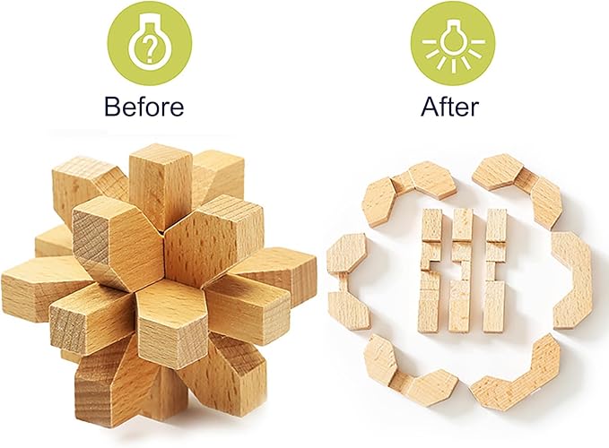 FantasyDay 9pcs Wooden Brain Teaser Puzzles, Interlocking Games for IQ Test, Intellectual 3D Assembling Educational Toy Set for Teens and Adults(9 Puzzle Set#C03)