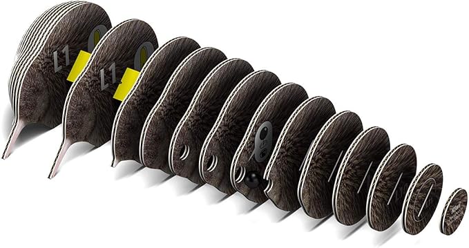 Eugy Kiwi Bird 3D Puzzle - 24 Piece Eco-Friendly Educational Toy Puzzle for Boys, Girls & Kids Ages 6+