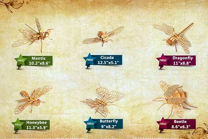 3D Wooden Insect Puzzle - 6 Piece Set Insect Animal Skeleton Assembly Model Puzzle - DIY Wooden Crafts 3D Puzzle - STEM Toys Gifts for Kids and Adults Teens Boys Girls