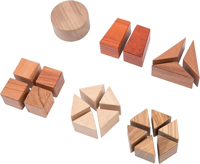 Montessori Wooden Fraction Puzzle Toy, Educational Math Manipulatives for 3+ Years Old, Geometric Shape Matching Game―Various Quality Wood Material Blocks, Classroom Learning Materials