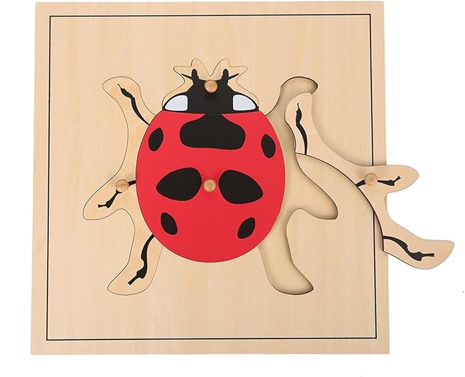 MEYOR Montessori Lady Bug Puzzle for Early Preschool Education Learning Toy