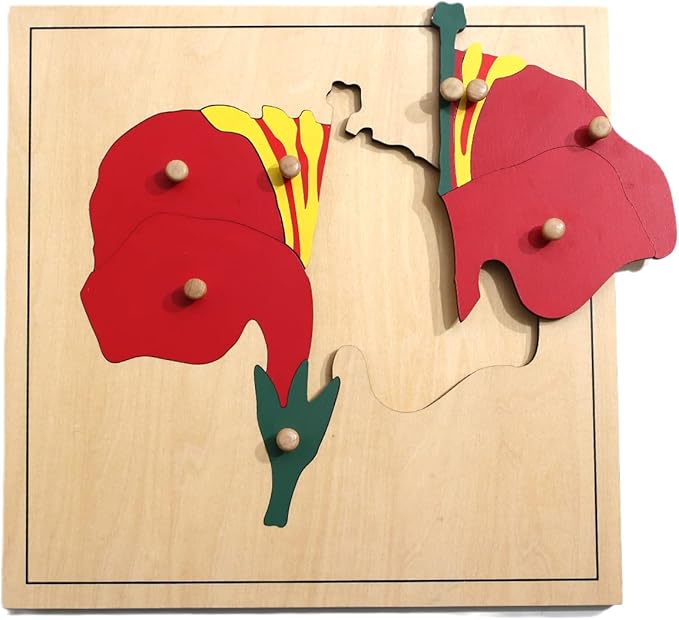 MEYOR Montessori Flower Puzzle for Learning Toy