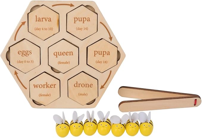 Montessori Wooden Bee Life Cycle Puzzle for Kids 3-6 | Learn Hive Roles: Queen,Worker,Drone | Realistic Insect Puzzle with Tray & Clamp | Preschool Fine Motor Science Toy for Classroom & Homeschool