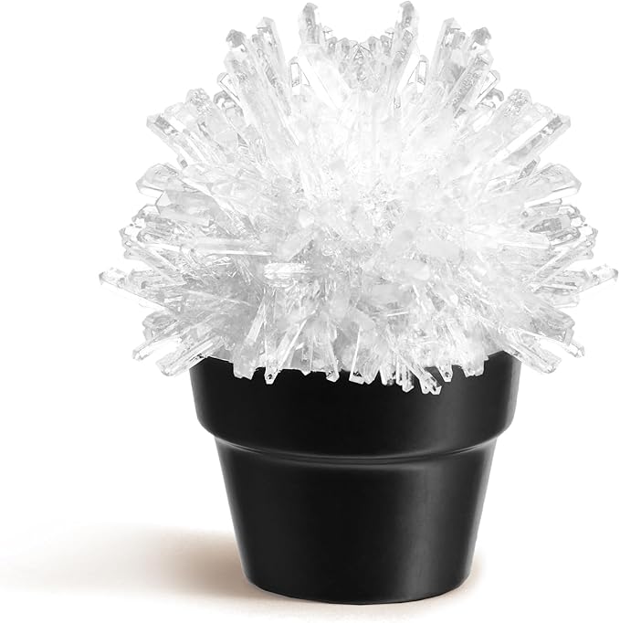 Crystal Growing Kit for Kids, Cactus-White DIY Crystal Science Experiment Set, Grow Your Own Crystals, STEM Educational Chemistry Kit for Boys & Girls Ages 6-12, Fun Science Lab Gift for Kids