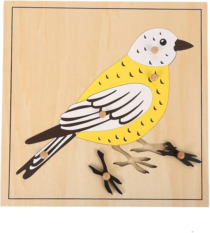 MEYOR Montessori Bird Puzzle for Early Preschool Education Learning Toy
