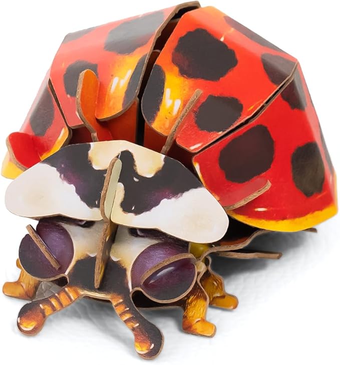 Early Educational Toys and Games, Eco-Friendly STEM Activities and 3D Paper Puzzles for Autistic Kids-Ladybug (Ages 7 and up)……