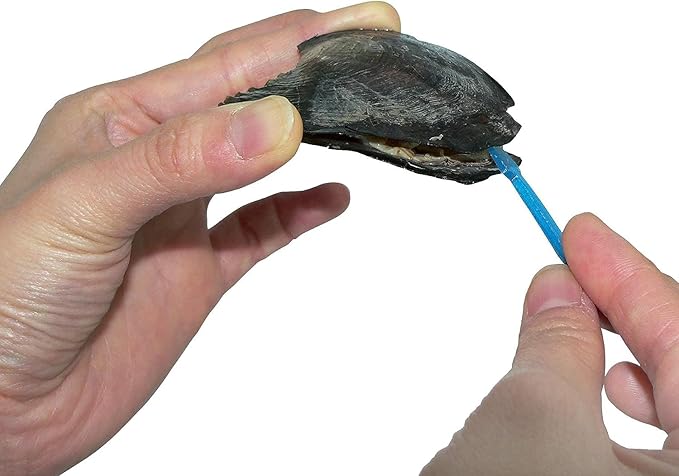 My Inspirations Precious Pearl Pearl in Oyster Kit, Mysterious Pearl Gift Set, DIY Necklace Making Kit, Elegant Pendant with 20" Chain, Great Gift for Any Occasion(Cross)