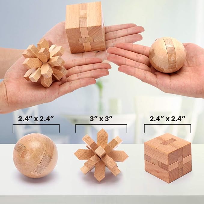 LESONG Brain Teasers Metal and Wooden Puzzles for Kids and Adults 9 Pack, Mind, IQ, and Logic Test and Handheld Disentanglement Games, 3D Coil Cast Wire Chain and Durable Wood Educational Toys