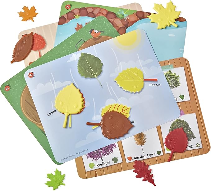 hand2mind Sensory Leaves Math Activity Set, Pattern Play, Shape Puzzle, Pattern Blocks Cards, Math Counters, Sorting Toy, Shapes for Toddlers, Counting Toy, Kindergarten Learning Activities