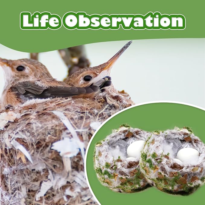 CHARTEKS DIY Bird Nest Craft Kit with 30 Twinkle LEDs and Simulated Eggs – Natural String Art Set for Home Décor, Kids STEM Toy, Creative Birthday Gift for Boys Girls Age 8+