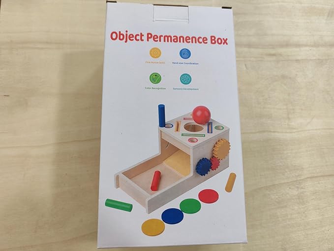 Wooden Montessori Toys for Toddlers 1-3, 5-in-1 Object Permanence Coin Box Wooden Ball Drop Toy Play for 1 2 3 Year Old Toddlers