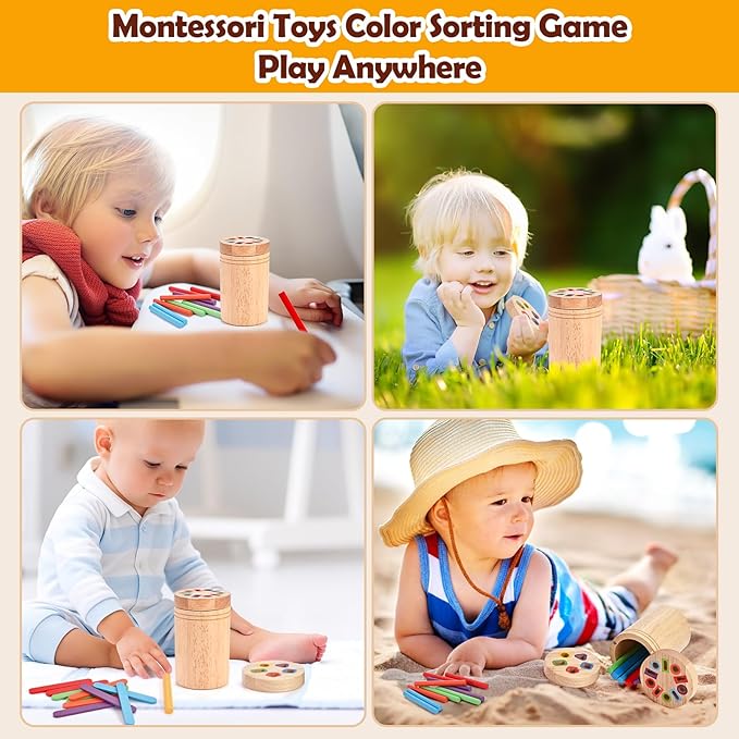 Wooderma Wooden Learning Color Sorting Toys, Montessori Toys for 2 3 4 Year Old, Montessori Travel Toy, Fine Motor Skills Sensory Toy for for Baby Boys Girls