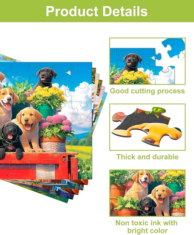 6 Pack 48 Large Piece Jigsaw for Seniors Alzheimer Products for Elderly Dementia Activities Memory for Patients in Nursing Home with Storage Box