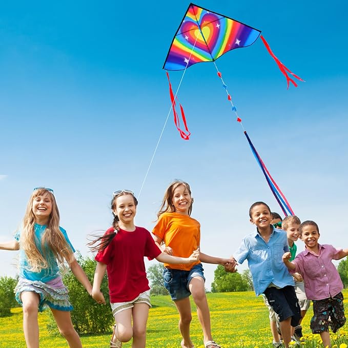 HONBO Large Delta Kite for Kids & Adults,Extremely Easy to Fly Kite for Beach Trip,String Line Included,with Colorful Tail,Perfect for Beginners
