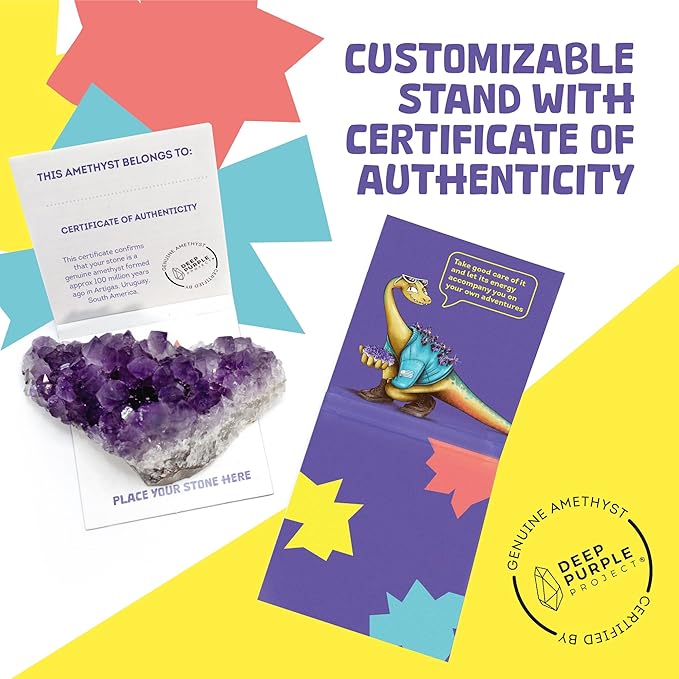 Geo Genius – Natural Uruguayan Amethyst Layer Kit for Kids (Ages 6+) – Educational Crystal & Geology STEM Set, Premium Quality
