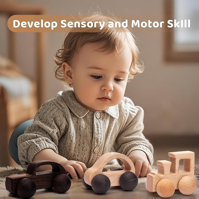 3PCS Wooden Baby Toys, Montessori Toys for Babies 0-6-12 Months, Baby Grasping Toys Push Car Toys for 1 Year Old Boy Birthday Gift,#3