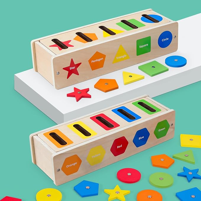 Montessori for Toddlers, Magnetic Color Shape Sorting Matching Box,Early Learning Toys,Wooden Educational Toy, Fine Motor Skills Toys for Boys Girls (Blue)