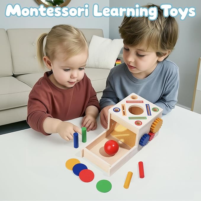 Wooden Montessori Toys for Toddlers 1-3, 5-in-1 Object Permanence Coin Box Wooden Ball Drop Toy Play for 1 2 3 Year Old Toddlers