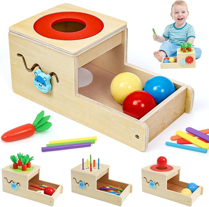 Montessori Toys for 1 Year Old, 6 in 1 Wooden Toys for Baby Boy Girl, Object Permanence Box, Color&Shape Sorting Learning Matching Game, Carrot Harvest, Preschool Educational Gift (New Coin Box)