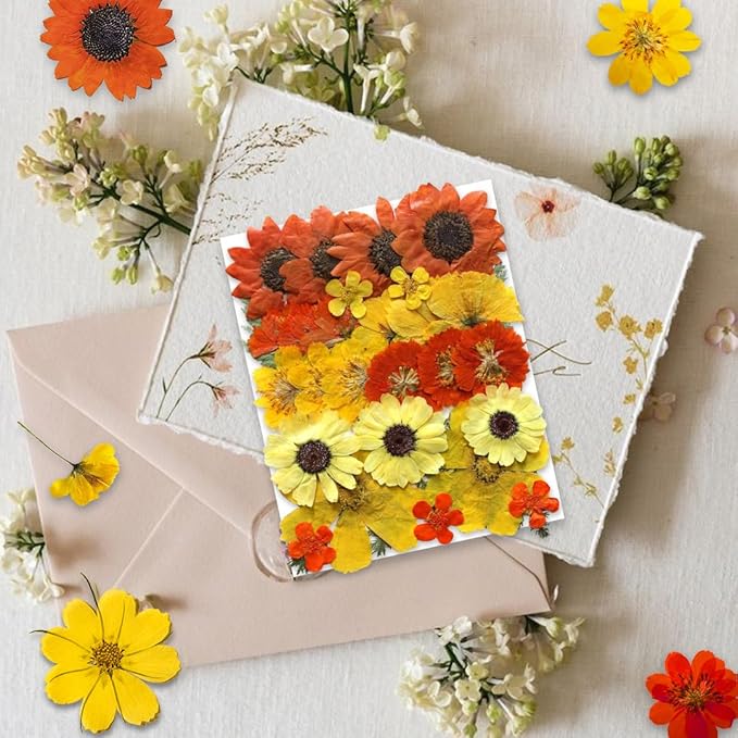 Large Fall Autumn Dried Pressed Flower for Resin, Big Real Nature Pressing Floral Leaves for DIY Craft, Mold, Jewelry Making, Candle Scrapbooking Supplies