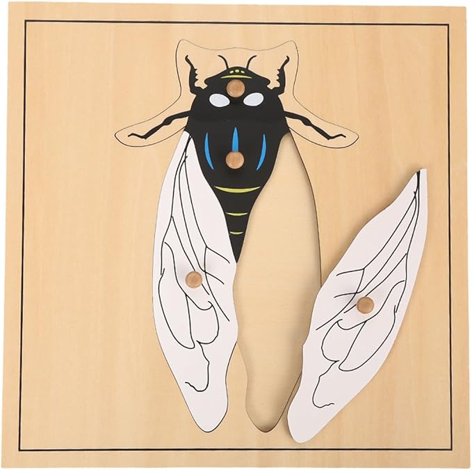 MEYOR Montessori Fly Puzzle for Preschool Learning Toy Education Learning Toy