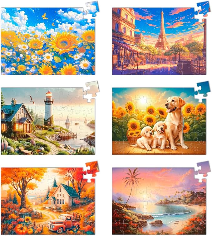 6 Pack 48 Large Piece Jigsaw Puzzles for Seniors Alzheimer Products for Elderly Dementia Activities Memory Game for Patients in Nursing Home with Storage Box