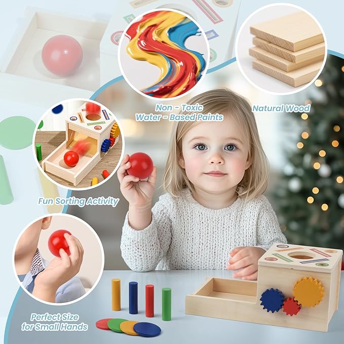 Wooden Montessori Toys for Toddlers 1-3, 5-in-1 Object Permanence Coin Box Wooden Ball Drop Toy Play for 1 2 3 Year Old Toddlers