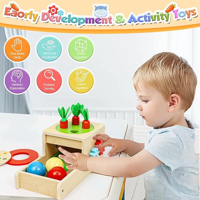 Montessori Toys for 1 Year Old, 6 in 1 Wooden Toys for Baby Boy Girl, Object Permanence Box, Color&Shape Sorting Learning Matching Game, Carrot Harvest, Preschool Educational Gift (New Coin Box)